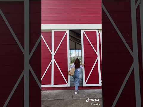 Best Travel Vlog 2022