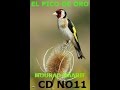 CD EL PICO DE ORO NO 11 شريط إسباني شهير تغريد الحسون