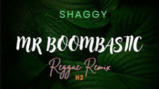 SHAGGY - Mr Boombastic Reggae Remix by H2