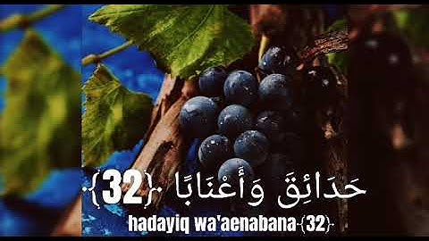 إِنَّ لِلْمُتَّقِينَ مَفَازًا🤍 القارئ اسلام صبحي🌱 جميل جداً حلات وتس اب دينيه 🤍