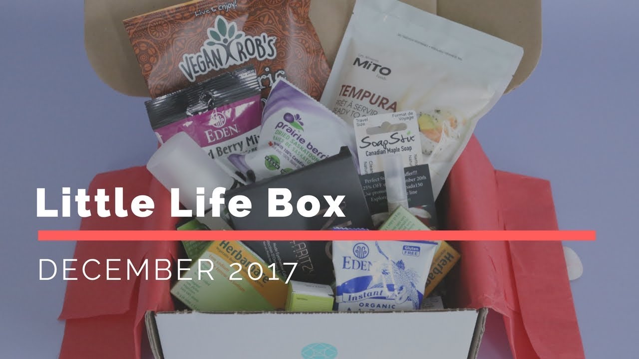 Little Life Box Subscription Box Unboxing December 2017
