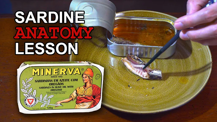 Minerva Brand SARDINES | Canned Fish Files Ep. 21