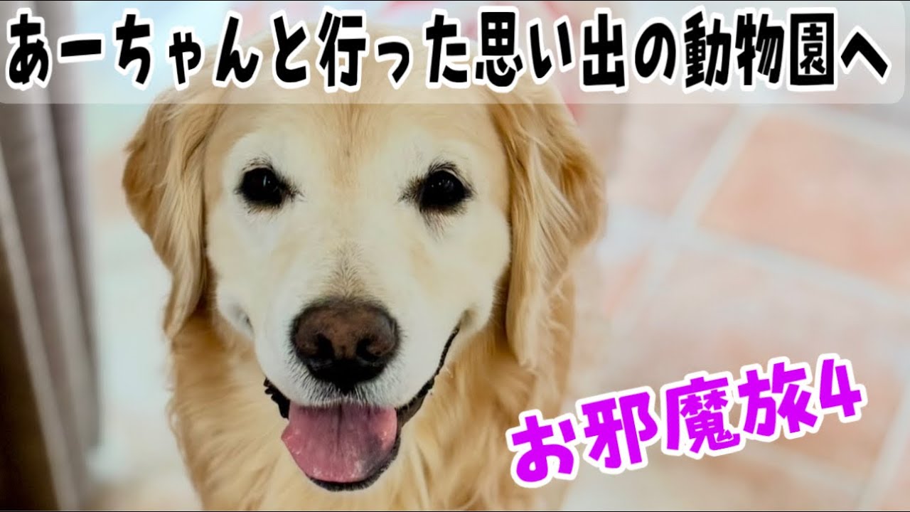 Disturbing Trip 4] The memorable zoo I went to with Ah-chan 1