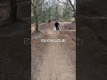 How to whip your mountain bike! #mtb #like #jump #viralvideo #tutorial