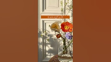 { قَالَ رَبِّ ٱشْرَحْ لِى صَدْرِى } | القارئ شريف مصطفى | بدون مؤثرات صوتية | #quran #قرآن