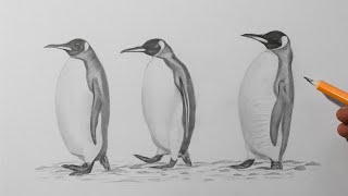 how to draw a penguin pencil drawing for beginners