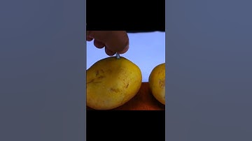 free energy light bulb using potato||#bulb #energy #power #electronic #illustration