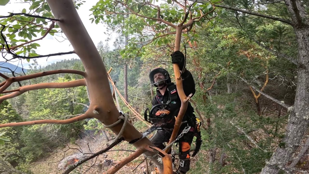 Cutting Overhanging Trees