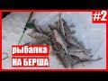 🐟ЗИМНЯЯ РЫБАЛКА НА БЕРША В УСТЬЕ КАМЫ🐟 ЧАСТЬ 2 2019