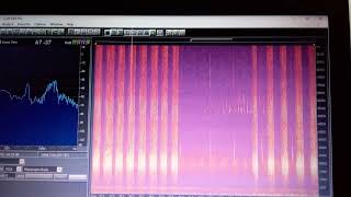 audiomoth analysis