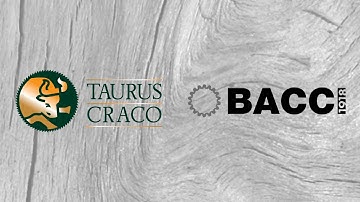 BACCI BMT 4 AXIS | CNC 4 AXIS MITRE TENONING MACHINE