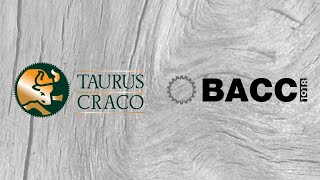 Bacci Bmt 4 Axis Cnc 4 Axis Mitre Tenoning Machine