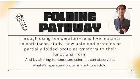Temperature-sensitive Mutations, Biochemistry