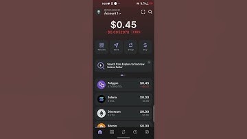 how to connect Solana wallet to paws