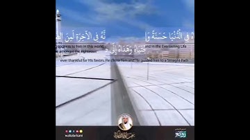 "إن إبراهيم كان أمة" سورة النحل SURAH NAHL #عبدالولي_الاركاني #ABDULWALI_ALARKANI