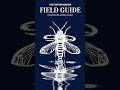 The Ultimate Interviewing Fieldguide for CS majors