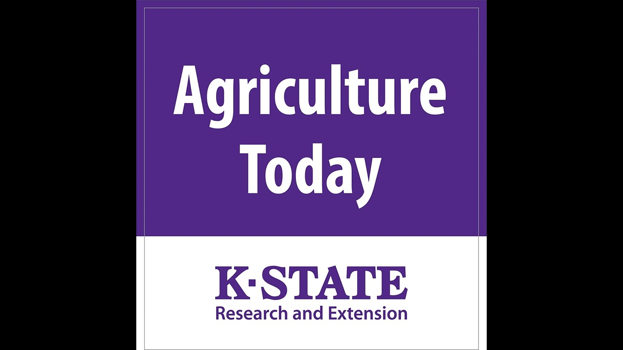 1655 - Grain Prices...Tailpipe Standard