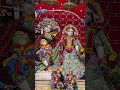 Hare krishna radha Radha 🙏🏻 #beautful #song good evening all