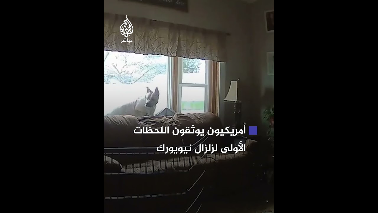 اللحظات الأولى من وقوع زلزال بقوة 4.8 درجات على مقياس ريختر في نيويورك