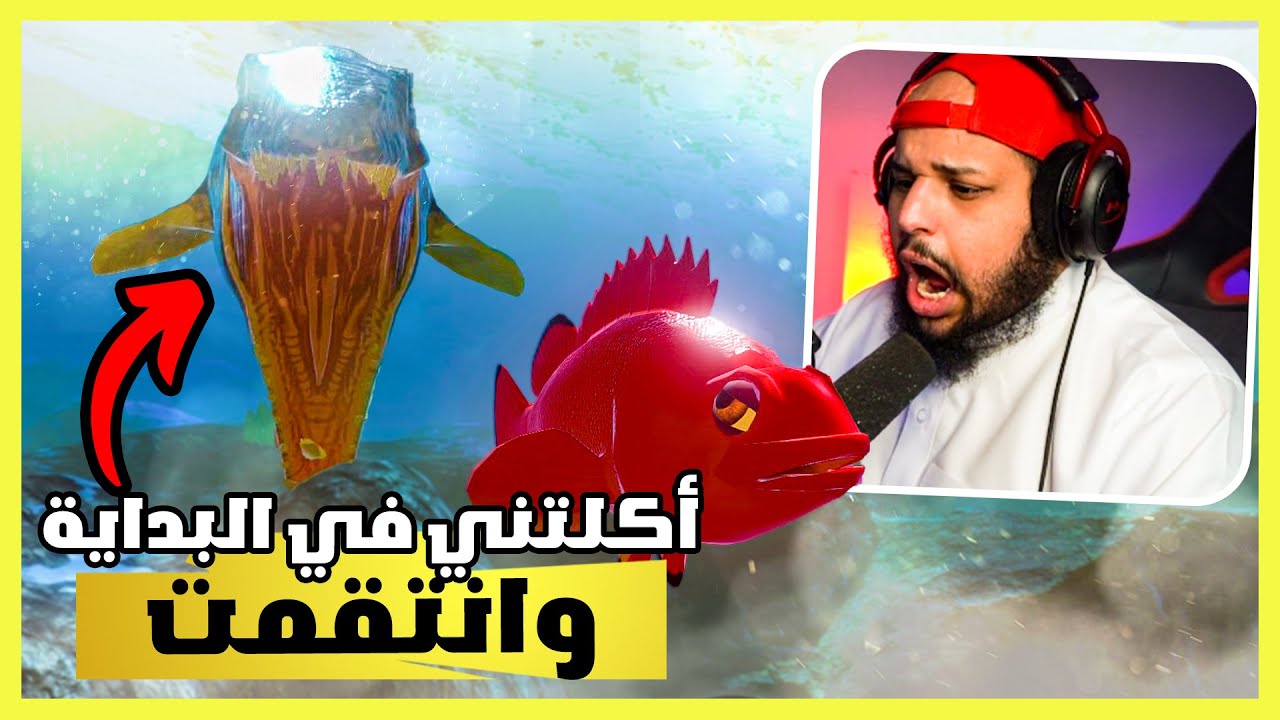 feed-and-grow-fish-youtube