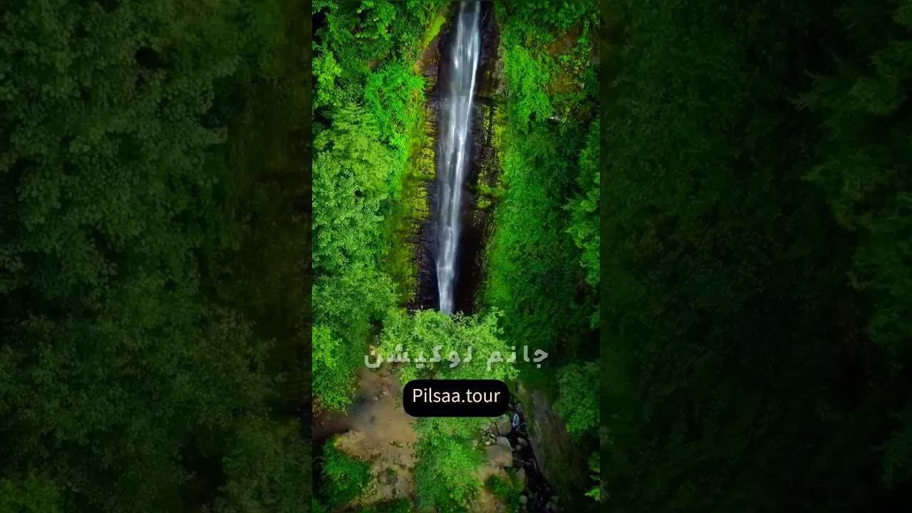 The pristine nature of northern Iran🇮🇷😍😵‍💫  