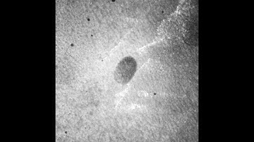 Ultra-wide Multi-spectral Evidence Searching and Imaging System OR-GQP4000