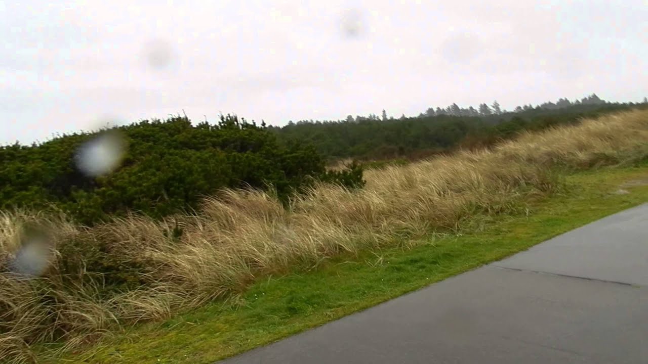 Westhaven State Park: Dune Trail