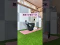 腹筋100回よりも効く！#ダイエット #宅トレ #お腹痩せ #くびれ #shorts