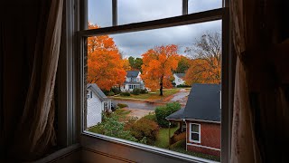 Cozy Gloomy Fall Rain In Connecticut🍂🌧️Calm Rain Ambience For Reading, Sleeping, Etc.