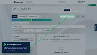 Upload and profile a dataset | ForgeStat