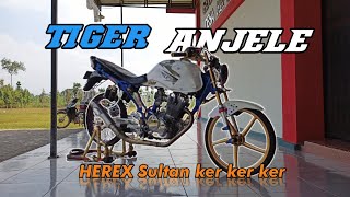 HEREX Style - TIGER ANJELE Spec Review