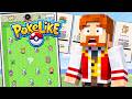 Tentei DERROTAR a LIGA POKÉMON nesse NOVO JOGO de POKÉMON ROGUELIKE! POKELIKE