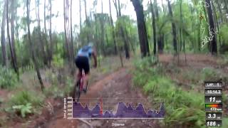 Mountain Bike Tyler State Park - B Loop downhill