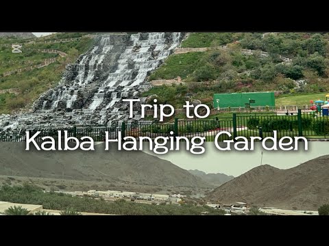 Quick Escape from Dubai to Kalba Hanging Garden 🇦🇪