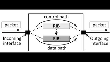 What is the Difference Between the RIB vs FIB and Data Plane vs Control Plane