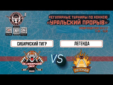 10.05.2024 2014 г.р. Сибирский Тигр  Иркутск  -  Легенда  Пермь