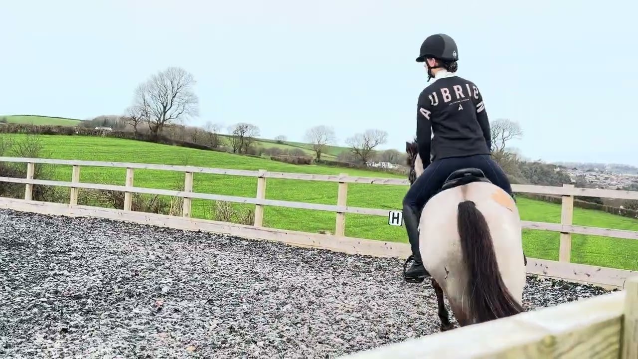 E-Riders Prelim 2B February 2026