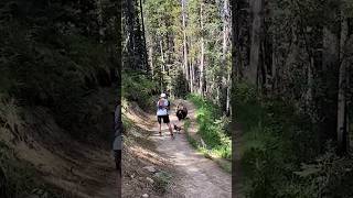 Full Terrifying close encounter with bear for couple hiking near Banff Update