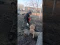 Даже Штили боялись эту бензопилу