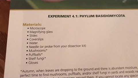 Apologia Biology Experiment 4.1{PHYLUM BASIDIOMYCOTA}