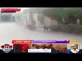 Stray Dog Menace in Gulshan-e-Usman, Rahim Yar Khan: Residents Living in Fear