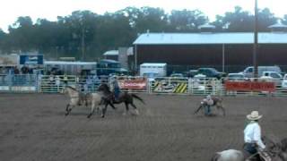Steer wrestling at Wyoming State Fair and Rodeo 2009