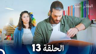 مسلسل الطائر المبكر الحلقة 13 (Arabic Dubbed)