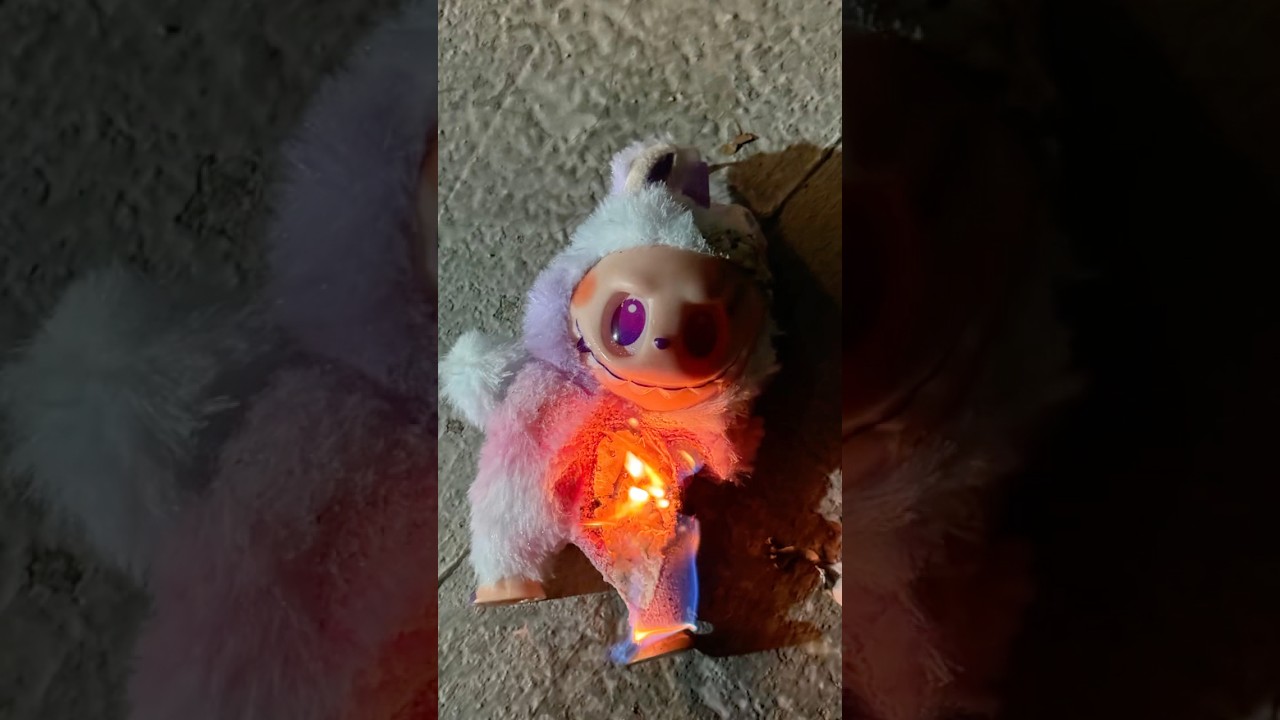 Burning my Labubu at the end of the video 🔥 #unboxing #labubu #shorts #shortsviral #shortsvideo