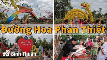 Đường Hoa Phan Thiết Tết Giáp Thìn | Độc Đáo Long Vật Rồng Uốn Lượn | Tết Việt Nam | Milo Võ