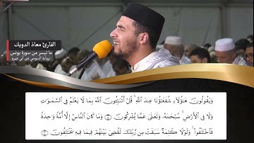 تلاوة غاية في الاتقان برواية السوسي عن أبي عمرو   للقارئ معاذ الدويك، سورة يونس