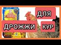 Куры Несутся Круглый Год!/Дрожжи для Кур Несушек/Какие Дрожжи Давать Курам?/Как Давать Курам Дрожжи?