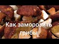 Как заморозить грибы. Грибы растут на газоне