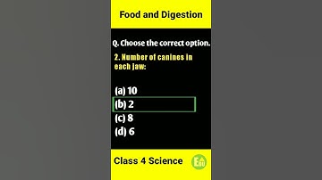 Food and Digestion questions and Answers class 4 Science #shorts