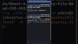 Link Vortex HackTheBox User Shell  #linuxcommandlinetutorial #programming